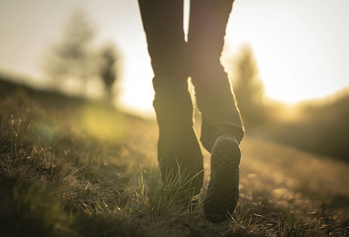 Wanderrouten