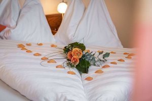 wohnung-raschoetz-12 (1)
