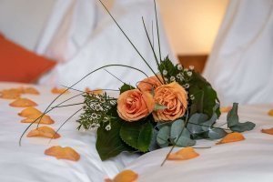 wohnung-raschoetz-13 (1)