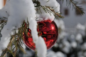 Vacanze invernali Dolomiti 1