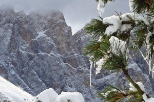 Vacanze invernali Dolomiti 3