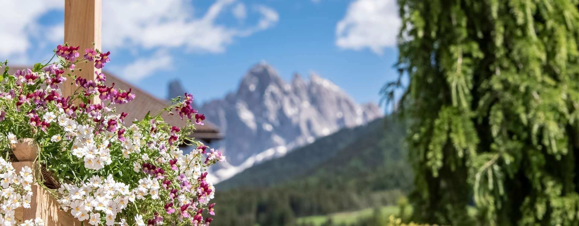 ferienhaus-dolomiten-9